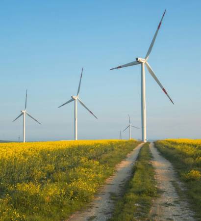 pexels-merictuna-31502933