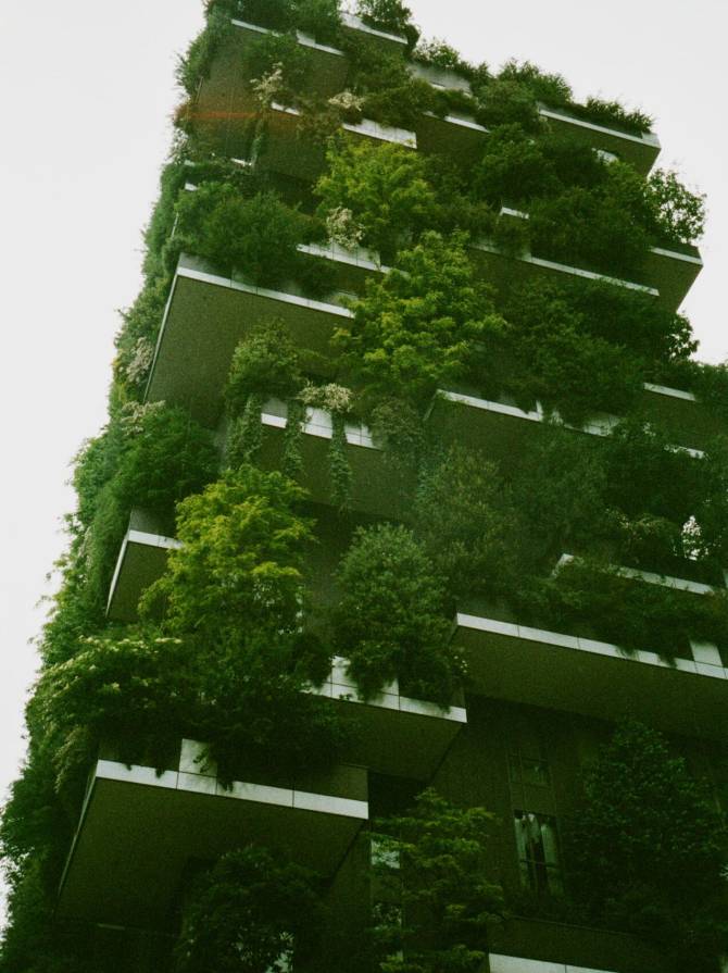 pexels-polinachistyakova-2815150